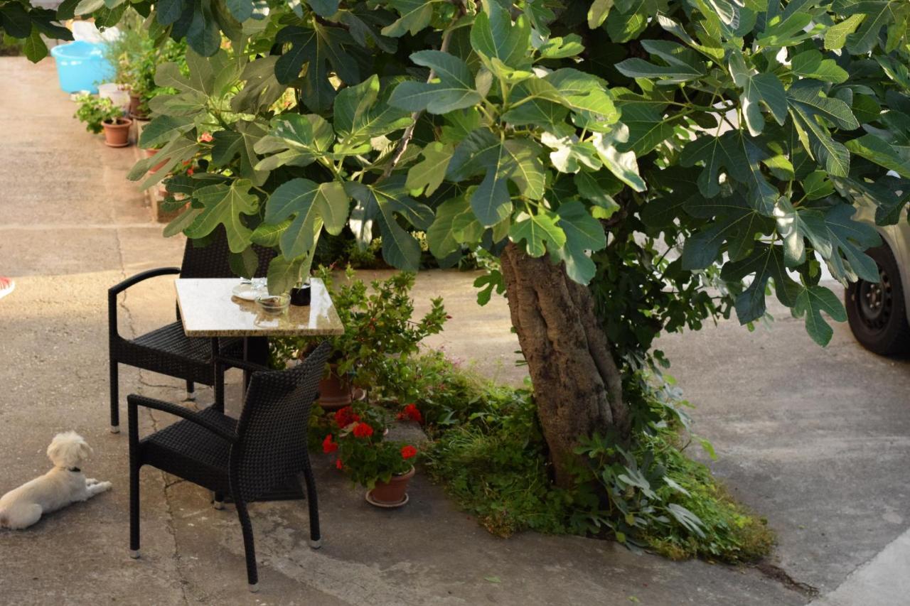 Studio Apartman Marina Vodice Luaran gambar